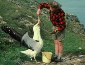 man with albatross